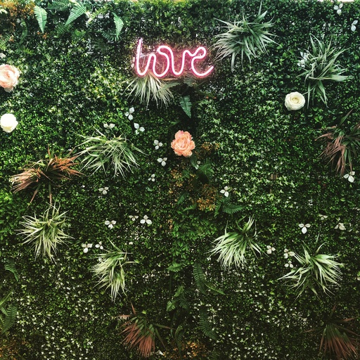 [FB 0001] Fond jungle 